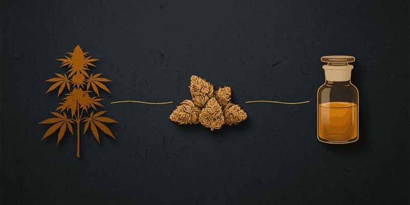 Single source hash rosin means one person or operation grew the plant, washed the hash, and pressed the rosin. Here's what that vertical control actually delivers and how to spot it on a menu.