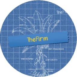 The Firm The Firm - Saba Banana #14 90-120u 2 Gram Cold Cure