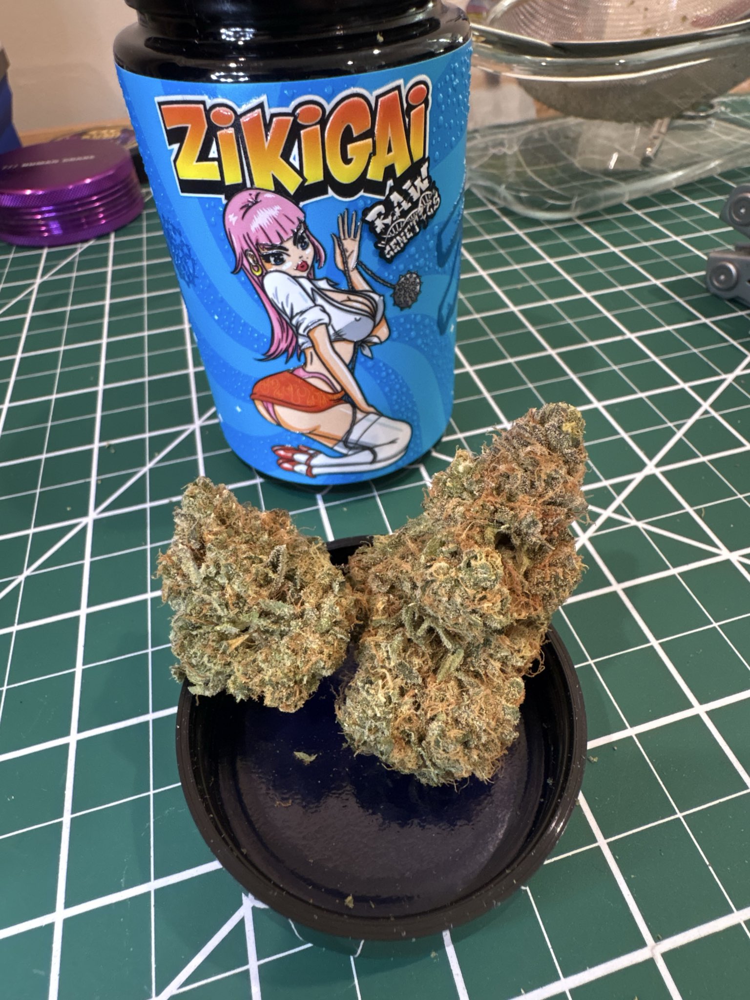 Zikigai Gardens — Zikigai jar photo