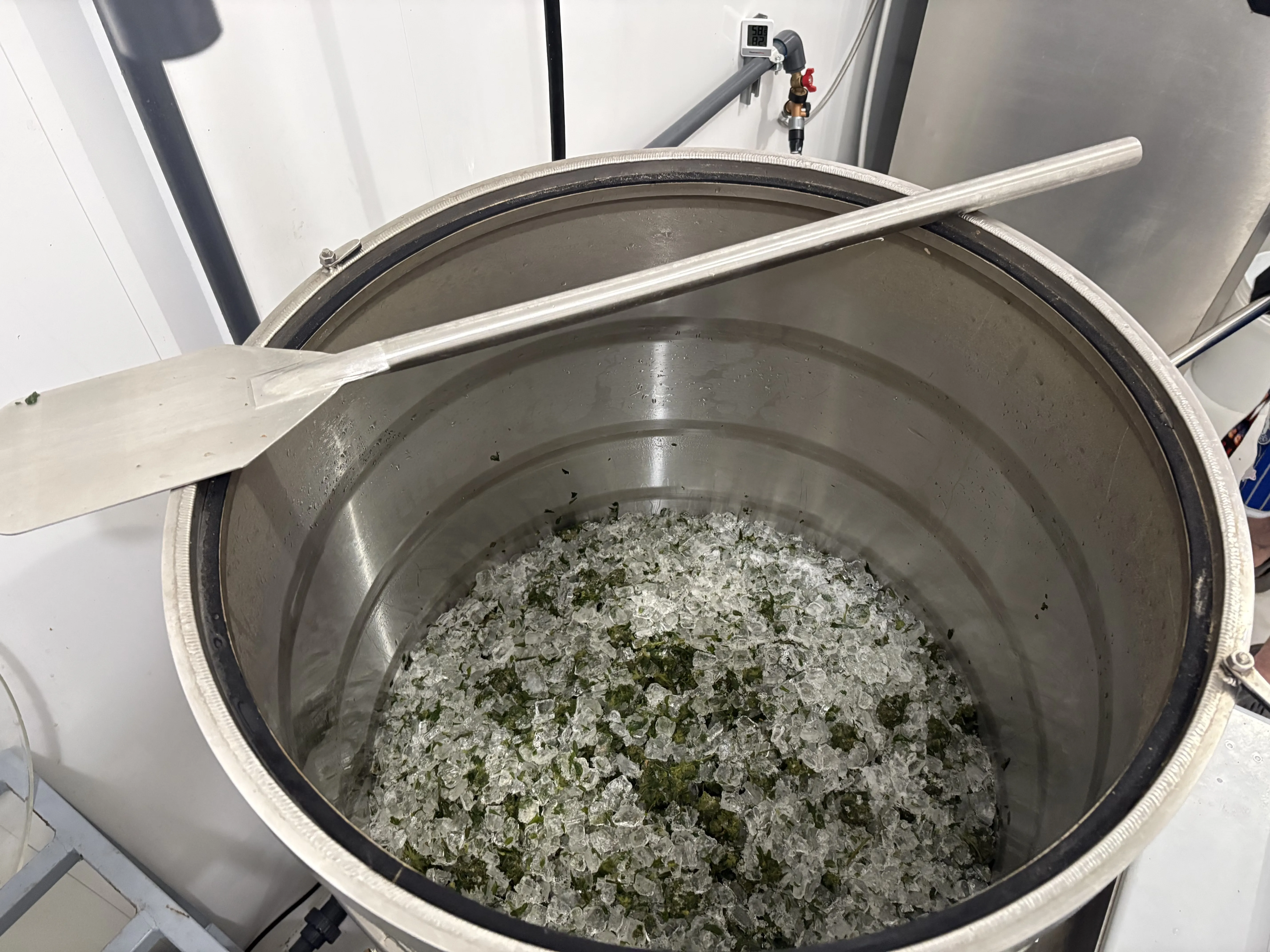 Top-down view of a commercial wash vessel loaded with ice and cannabis material, paddle resting on top before agitation