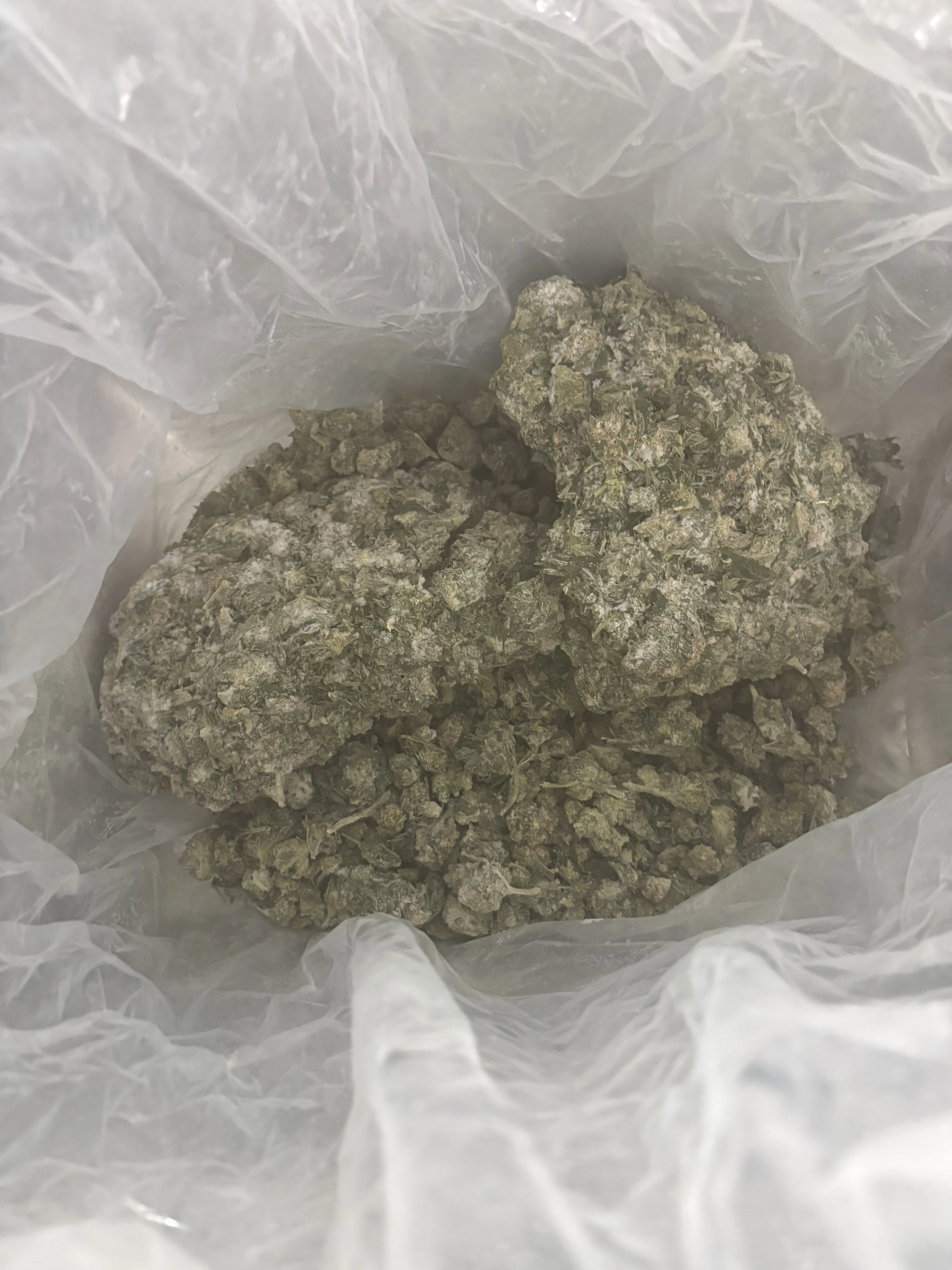 Frozen cannabis trim in a sealed plastic bag, chunky grey-green material ready for ice water hash extraction