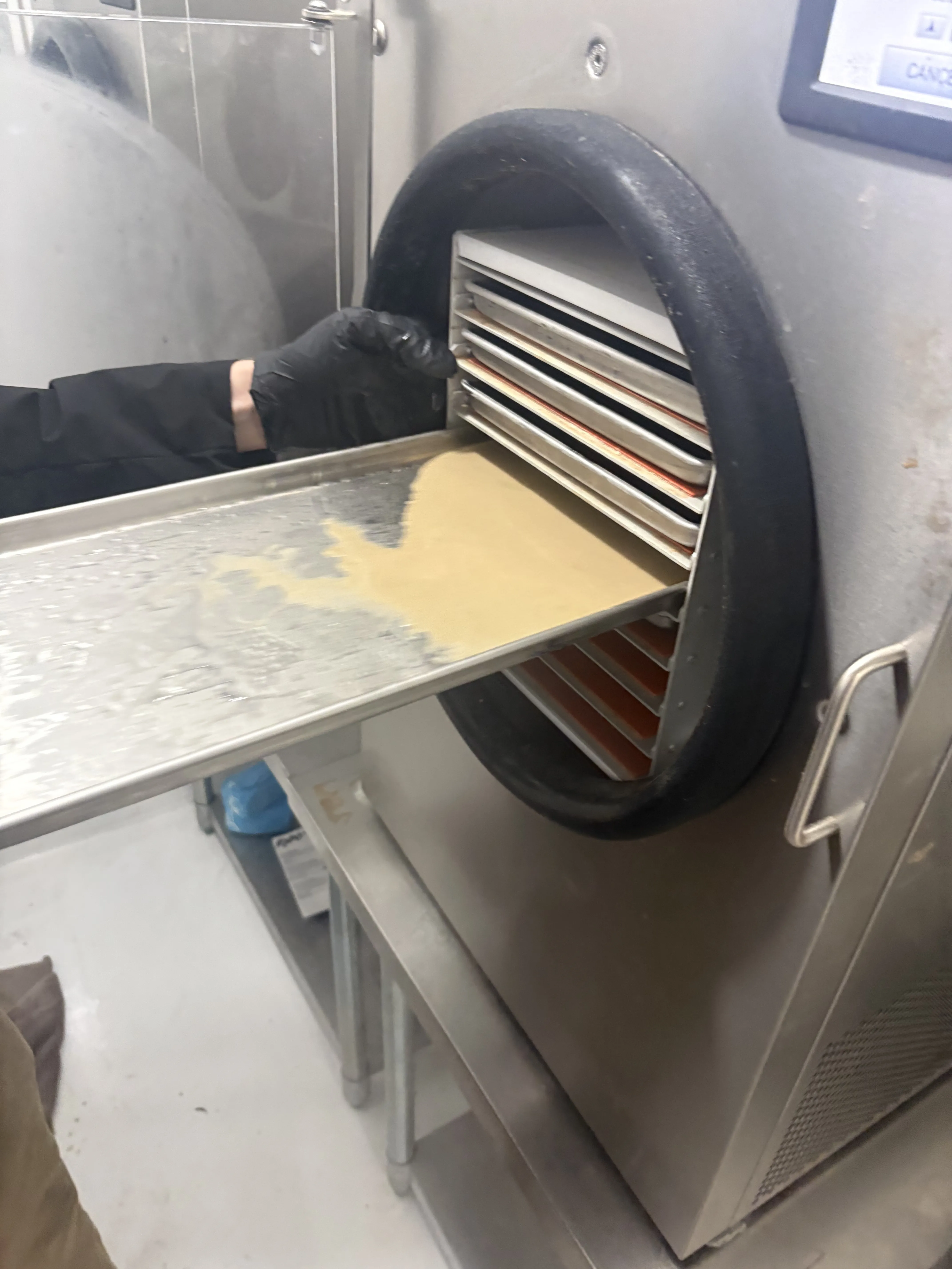 Stainless steel trays loaded with hash being slid into a commercial freeze dryer with racked shelves