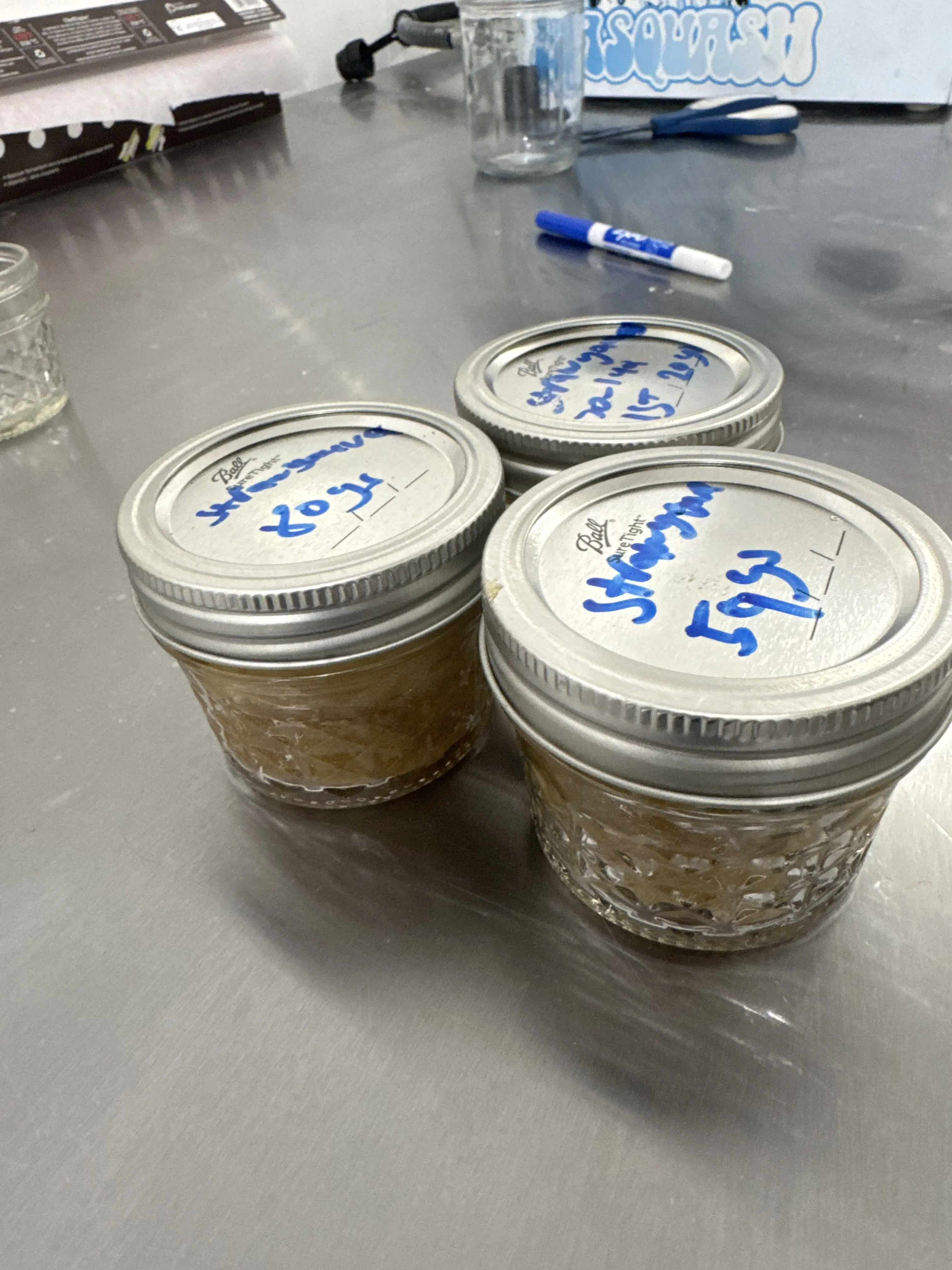 Containers of finished bubble hash ready for storage, showing proper portioning and labeling
