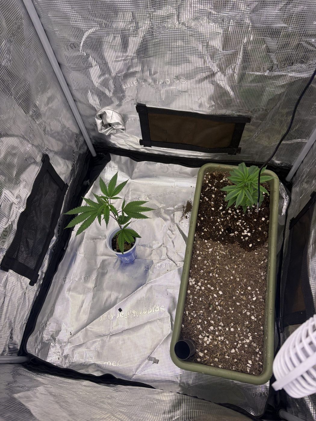 Overhead view of the empty tent floor with the planter along one side